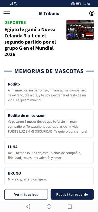 El Tribuno — Secciones